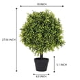 thumbnail image 4 of Poetree Set of 2 - Pre-Potted 24" High Ball Shaped Boxwood Topiary- 16" Diameter - Plastic Pot, 4 of 5