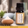 thumbnail image 3 of Aceite Esencial de Naranja Relajante Natural Aromas & Lavanda 10 ml, 3 of 4