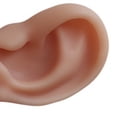 thumbnail image 3 of 1:1 Ear Model, Soft Silicone Right and Left Ear, Highly Simulated Details for Practice Demonstration Learning Teaching Prop, 3 of 3