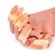 thumbnail image 2 of Mano Práctica Para Aplicación De Uñas Profesional Con 100 Tips Y Base Sujetadora De Mesa Belié Hand Trainer, 2 of 4