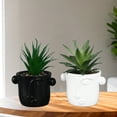 thumbnail image 1 of prosthetic Succulents Plants Pots, Innovative Vivid Small Artificial Succulent Plants Pots Modern 2pcs  for Indoor, 1 of 7