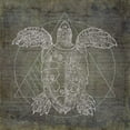 thumbnail image 2 of Murdock, Ramona 26x26 White Modern Wood Framed Museum Art Print Titled - Turtle Geometric Silver, 2 of 4