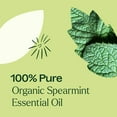 thumbnail image 5 of Plant Therapy Spearmint Organic Essential Oil 30 mL (1 oz) 100% Pure, Undiluted, Natural Aromatherapy, 5 of 7