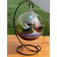 thumbnail image 2 of 1pc Hanging Clear Fish Tank, 2 of 5