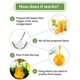 thumbnail image 2 of Trampa para macetas de abejas Vhermosa 2 unidades cazador de avispas ecológico duradero, 2 of 7