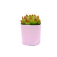 thumbnail image 2 of Plants Of Joy Pink Wrappers Print Succulent Wraps for Weddings, Baby Shower, and Party Favors. 25 Count Pack., 2 of 2