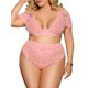 thumbnail image 1 of Conjunto Brasier Festoneado de Talla Extra con Encaje con Mangas Cortas Rosegal  Conjuntos de lencería de talla grande, 1 of 2