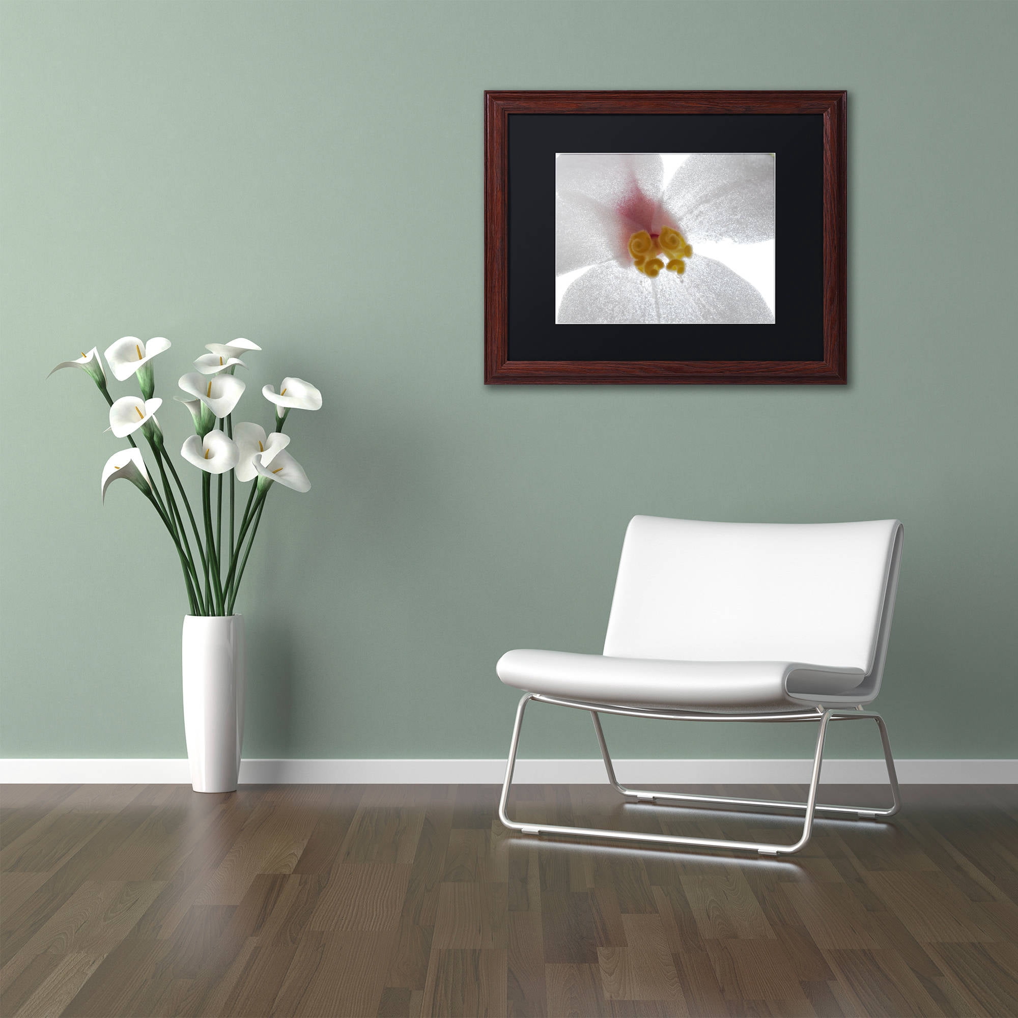 Trademark Fine Art "Escargo Begonia Flower" Canvas Art by Kurt Shaffer, Black Matte, Wood Frame