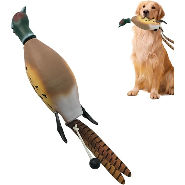 Juguete parachoques de pato | Dead Duck Dummys Parachoques para entrenamiento de perros de caza, señuelos de juguete de espuma EVA para adiestramiento al aire libre, Retriever de aves acuáticas | Jugu
