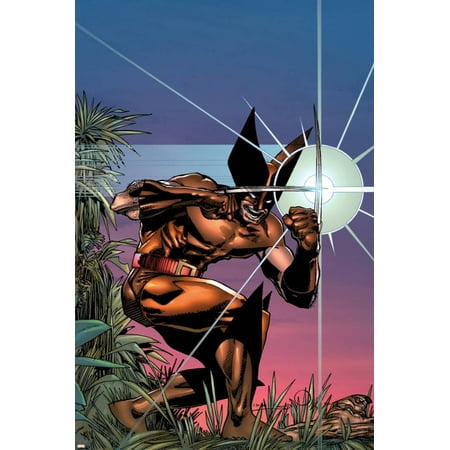 Marvel Comics Presents Wolverine No.1 Cover: Wolverine Poster Wall Art By Walt