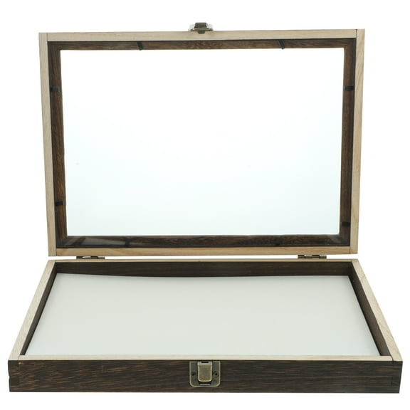 Insect Display Case Specimen Box Mounting Exhibit