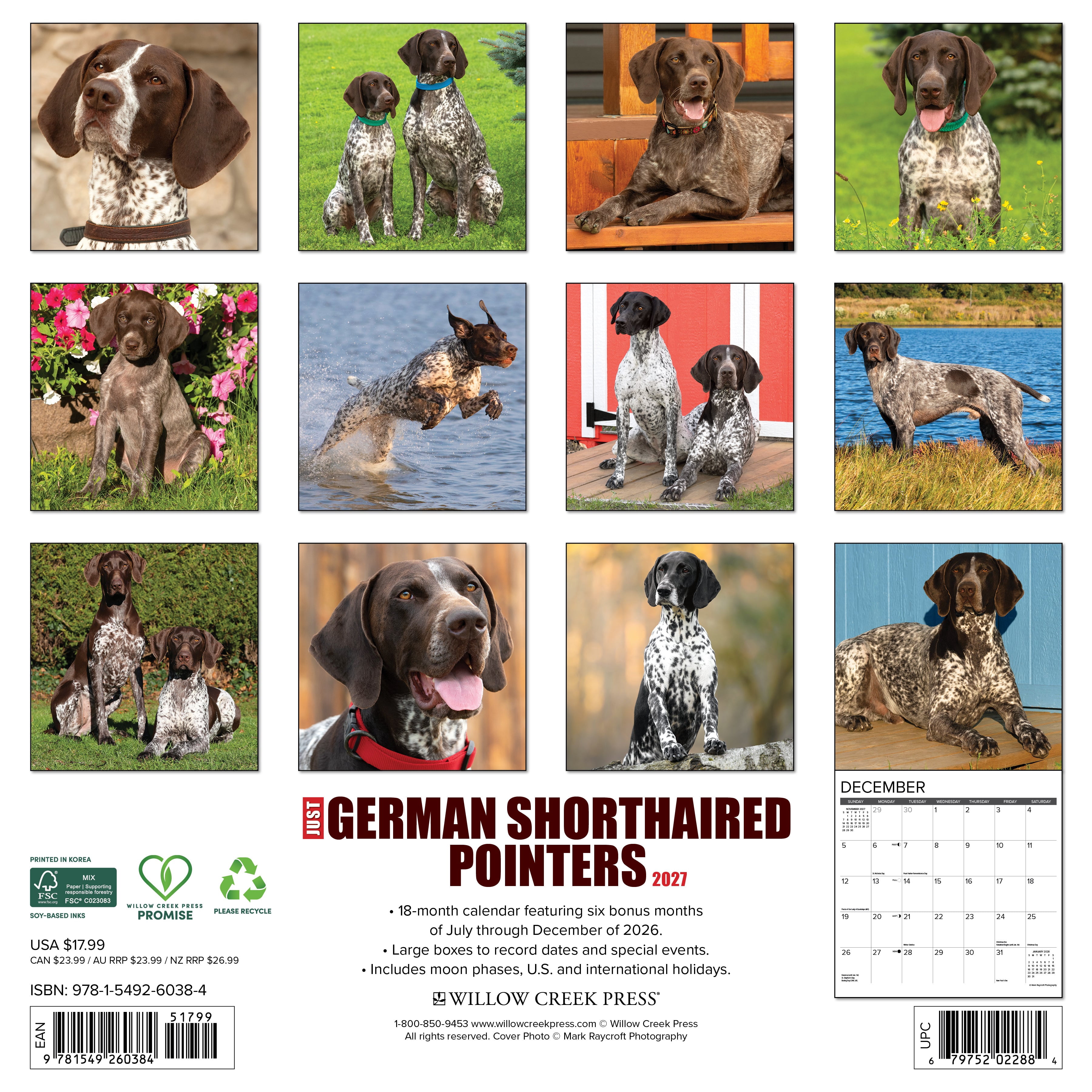 Willow Creek Press, German Shorthaired Pointers 2027 Wall Calendar