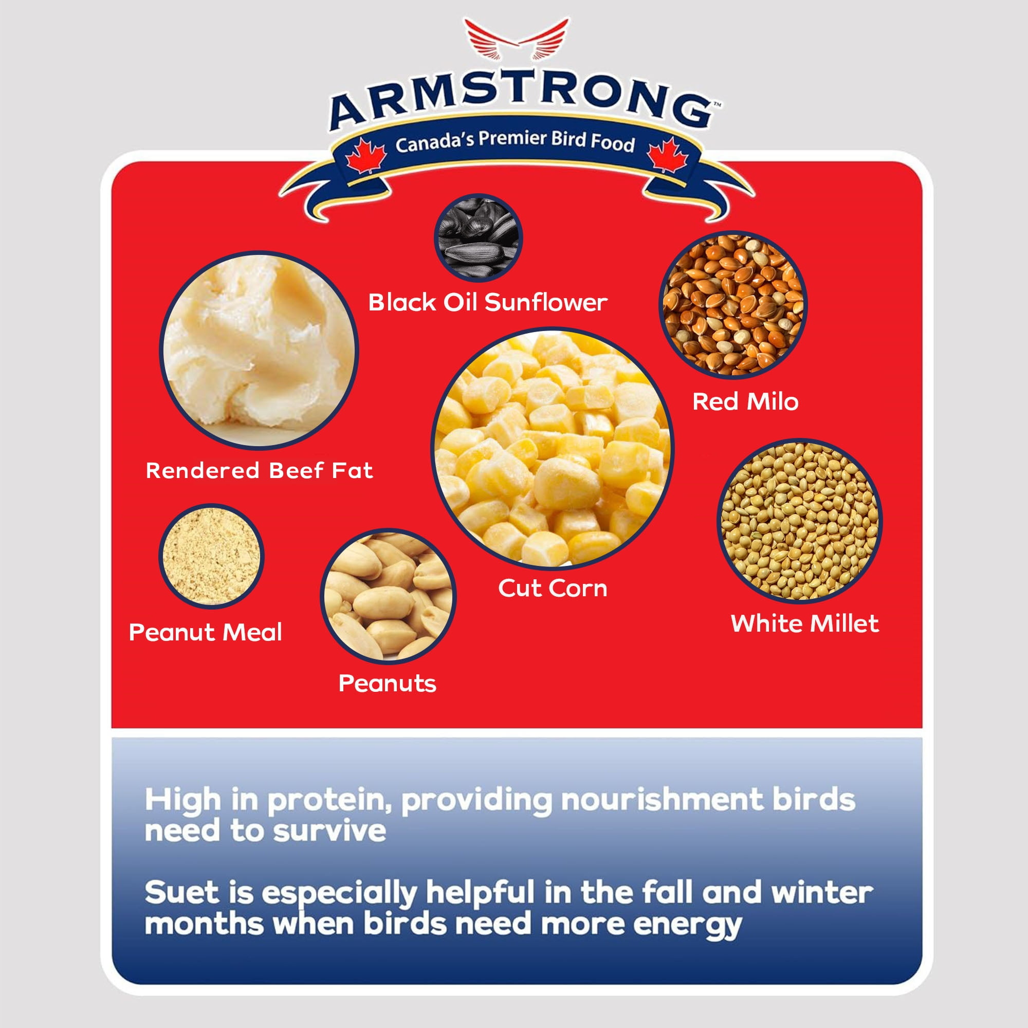 Armstrong Wild Bird Food Peanut Select Suet Blend, 11.3oz (Pack of 12)