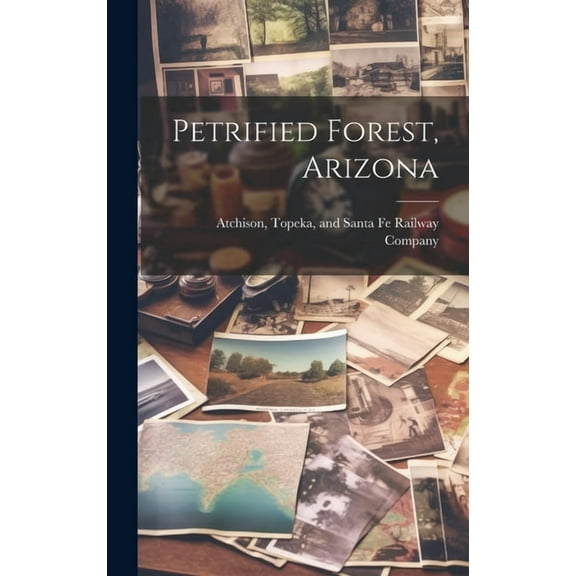 Petrified Forest, Arizona (Hardcover)