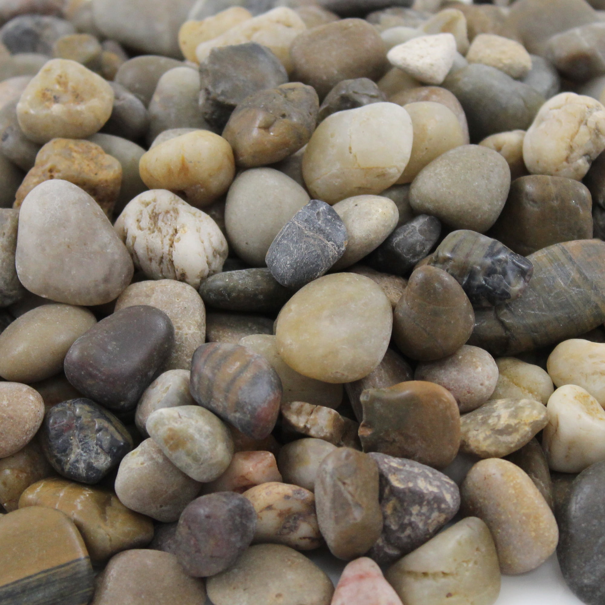 Rainforest, Outdoor Decorative Stone, Polished Pebbles, Mixed, 1", 2200lbs.