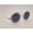 White, variant on L’Aveugle Par Amour Round Bee Vintage Sunglasses | Trendy Sunglasses