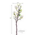 thumbnail image 2 of Magnolia Large Spray White, 2 of 3