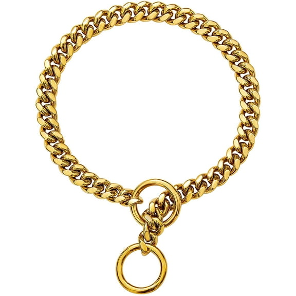 Gold Dog Chain Collar 10MM Choke Collar Stainless Steel Metal Collars Silp Choker Chain for Small Medium Dogs (12inch)
