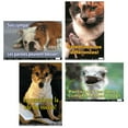 thumbnail image 1 of POSTER PALS FUN PHOTO POSTERS SET #10 FRENCH, 1 of 1