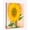 A Sunflower From Maggie, variant on Georgia Keeffe Paintings Enlarged Flowers Wall Art Anorchid Framed Canvas Art