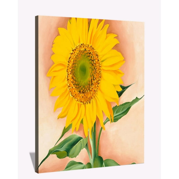 Keeffe Paintings Enlarged Flowers Wall Art A Sunflower From