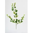 thumbnail image 2 of 25" Faux  Variegated Green Ivy Stem, 2 of 5