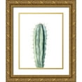 thumbnail image 1 of Shefranov, Olga 12x14 Gold Ornate Wood Framed with Double Matting Museum Art Print Titled - Cactus IV, 1 of 4