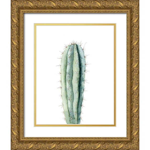 Shefranov, Olga 12x14 Gold Ornate Wood Framed with Double Matting Museum Art Print Titled - Cactus IV