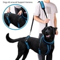 thumbnail image 2 of Quick Install Dog Belt For Senior Canines Comfortable Padded Polyester Mobility Rehabilitation Harness, 2 of 15