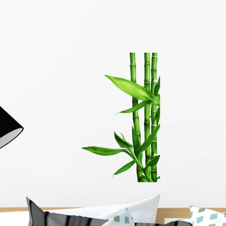 Bamboo Peel - Bamboo Border Wall Decal by Wallmonkeys Peel and Stick Graphic (18 in H x 16 in W) WM126394