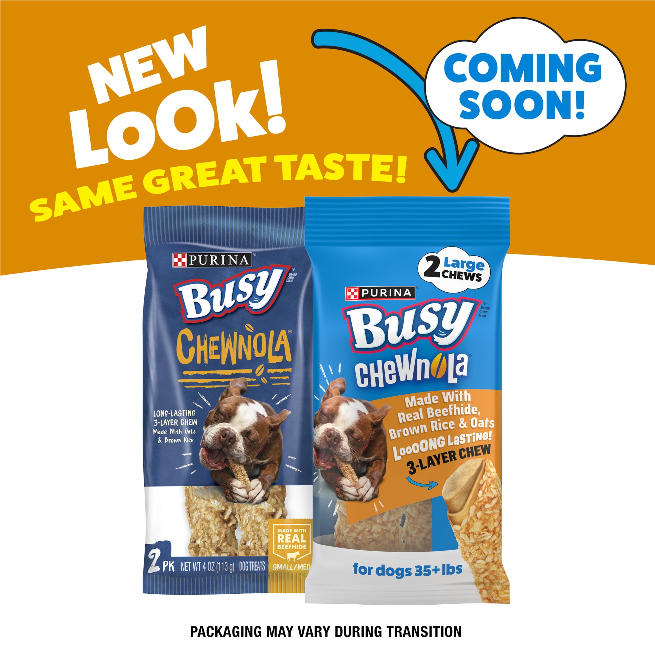 Purina Busy Chewnola Large Breed Beefhide Chews for Dogs, Long-Lasting Dog Snacks, 4 oz, 12 Pack