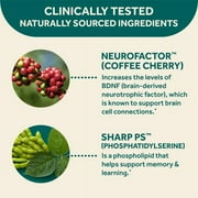 Neuriva Original Brain Performance Supplement (30 count) ، دعم الدماغ مع المكونات الطبيعية المثبتة سريريًا (Coffee Cherry & Plant Sourced Phosphatidylserine) (حزمة 2)