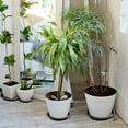 thumbnail image 2 of Lefu 2pcs PP Round Succulent Plant Flower Pot Saucer Planter Trays Supplies Decor, 2 of 9