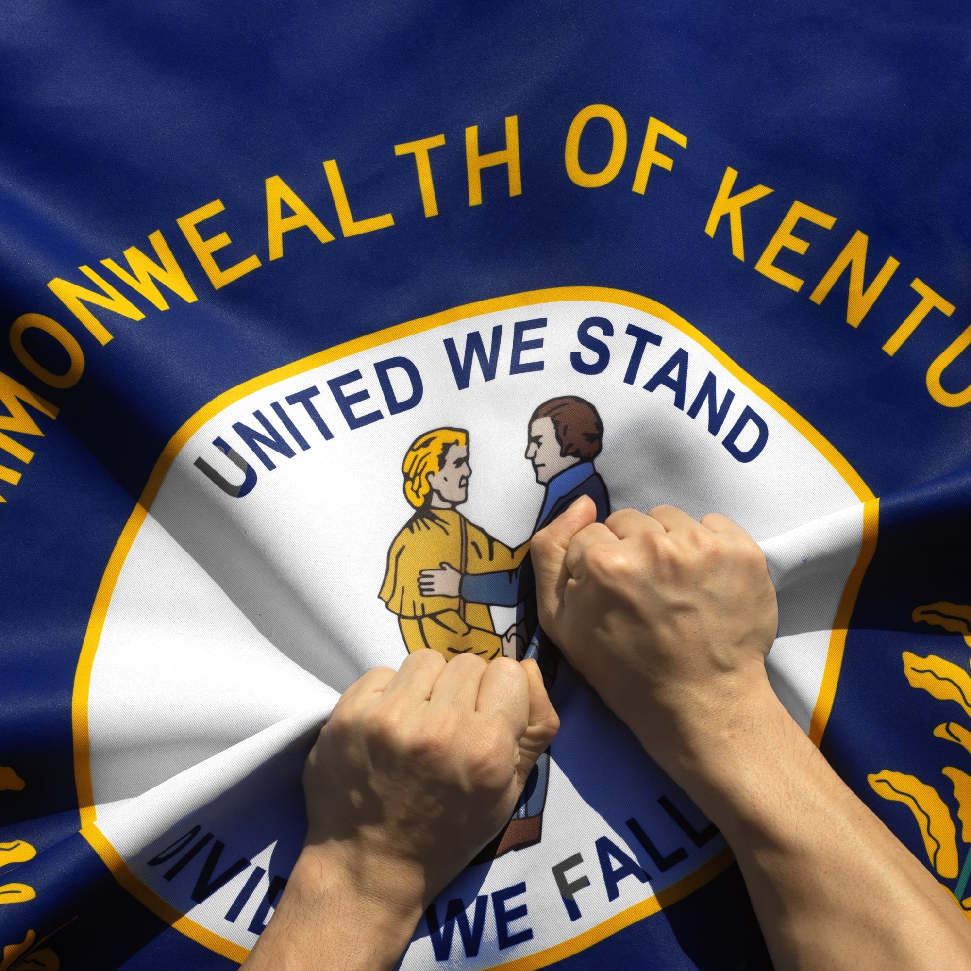 Anley Rip-Proof Double Sided 3-Ply Kentucky State Flag 3x5 Foot - Kentucky KY Flags