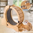 thumbnail image 6 of FYC Cat Exercise Wheel - Pets Treadmill for Cat, Run, Spin & Scratch - Carpeted Runway - Kitty Sport Toy - Reduces Boredom, Improves Fitness, 6 of 9