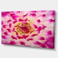 thumbnail image 3 of Design Art - Pétales de Fleurs de Rose Blanches Lisses, 3 of 4