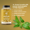 thumbnail image 4 of EU Natural A+ Armor Andrographis 800 mg Suplemento de Bienestar Inmune 60 Cápsulas, 4 of 5