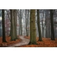 thumbnail image 2 of Podt, Martin 14x11 Black Ornate Wood Framed with Double Matting Museum Art Print Titled - Autumn Path, 2 of 4
