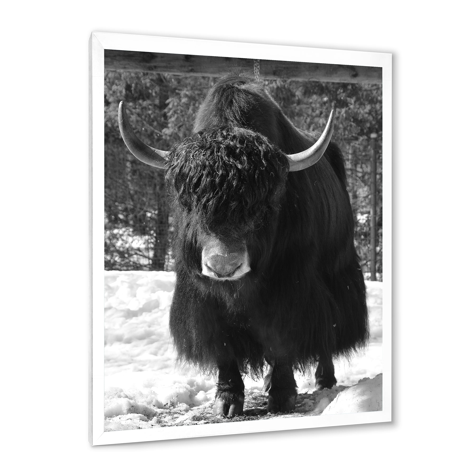 Designart 'Portrait Of Monochrome Wild Bull In Winter Forest I' Farmhouse Framed Art Print