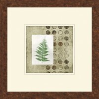 Fern Impressions II