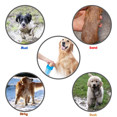 thumbnail image 4 of Dog Paw Cleaner, Portable Dog Foot Cleaner, Dog Scrubber for Bath, 2 In 1 Portable Silicone Pet Cleaning Brush Feet Cleaner for Dogs Grooming with Muddy Paw, 4 of 7