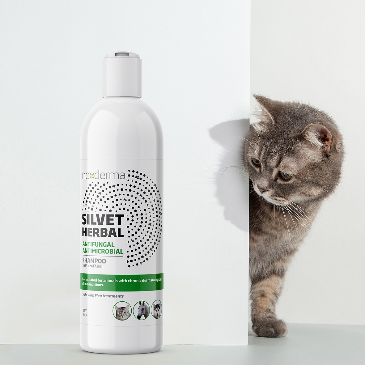 antifungal shampoo for cats walmart