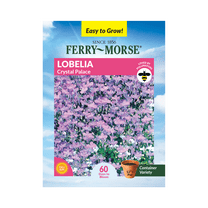 Ferry-Morse 120MG Lobelia Crystal Palace Annual Flower Seeds, Full Sun