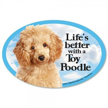 Toy Poodle Dog - Poodle Toy Oval Dog Magnet for Cars by Prismatix