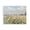 Spring Wildflower Meadow, variant on Stupell Industries Traditional Idyllic Field at Dawn Black Floating Frame Canvas Art, 21 x 17, by Nan