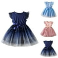 thumbnail image 1 of JDQJBZ Girls Sleeveless Dress Ruffle Hem Lace Mesh Tutu Princess for 1-6 Years, 1 of 5
