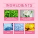 thumbnail image 5 of Crema para peinar el cabello | Aceite Nutritivo Anti-Frizz para el Cuidado del Cabello | Suaviza el cabello roto y el flequillo | Mejora el brillo, el brillo y la elasticidad | Aceites de coco y, 5 of 8