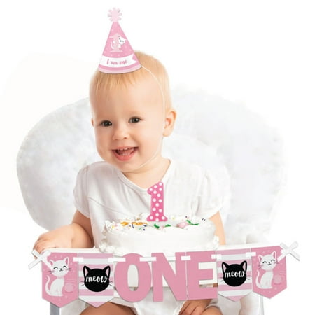 Purr Fect Kitty Cat 1st Birthday First Birthday Girl Smash Cake