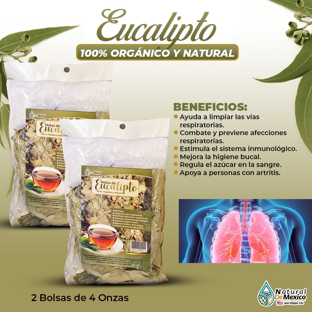 Hojas de Eucalipto Organic Herbal/Tea Eucalyptus Dried Whole Leaves 8