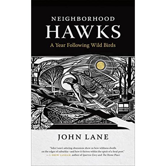 Pre-Owned Neighborhood Hawks: A Year Following Wild Birds (Paperback) 0820354937 9780820354934